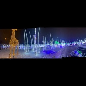 Meet your Posher, Salvatore